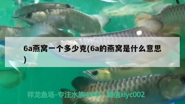 6a燕窩一個(gè)多少克(6a的燕窩是什么意思) 馬來(lái)西亞燕窩