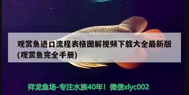 觀賞魚進(jìn)口流程表格圖解視頻下載大全最新版(觀賞魚完全手冊(cè))