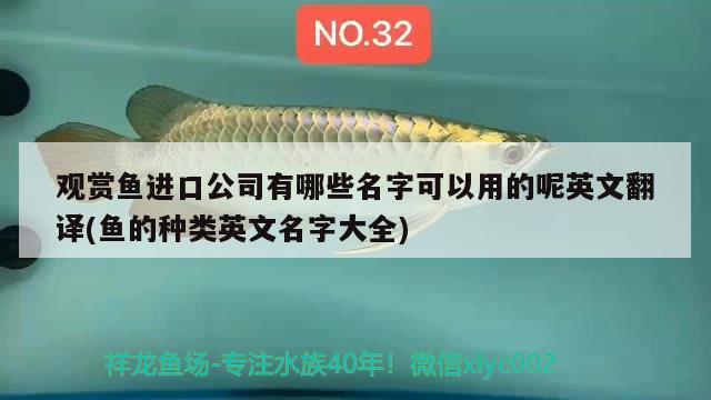 觀賞魚進(jìn)口公司有哪些名字可以用的呢英文翻譯(魚的種類英文名字大全) 觀賞魚進(jìn)出口