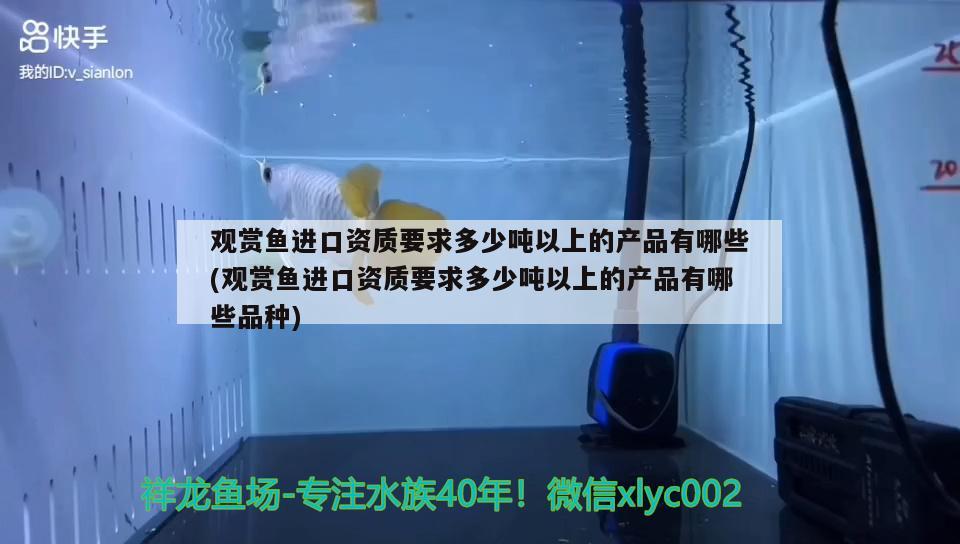 魚缸排水口漏水怎么辦(魚缸排水口漏水怎么辦小妙招)