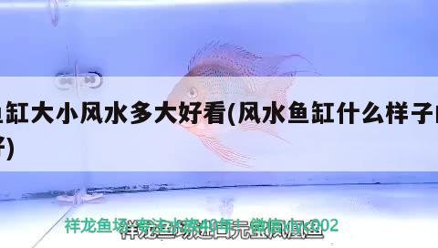 魚缸大小風水多大好看(風水魚缸什么樣子的好) 魚缸風水