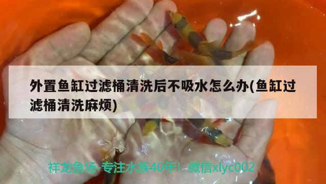 外置魚缸過濾桶清洗后不吸水怎么辦(魚缸過濾桶清洗麻煩)