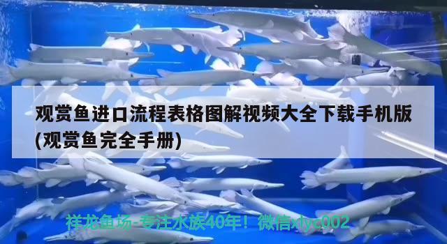 觀賞魚進口流程表格圖解視頻大全下載手機版(觀賞魚完全手冊) 觀賞魚進出口