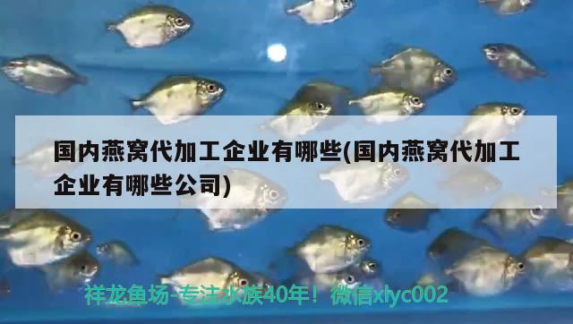 北京魚缸廠家北京艾諾佳水族廠家北京艾諾佳水族市場，北京哪里買魚缸比較便宜 喂食器 第2張