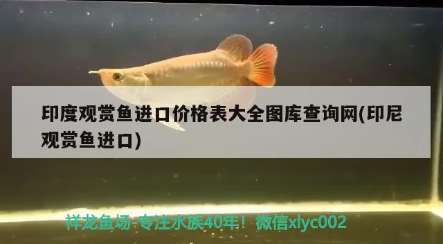 印度觀賞魚進(jìn)口價格表大全圖庫查詢網(wǎng)(印尼觀賞魚進(jìn)口)