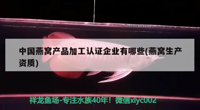 蝦紅素對龍魚增色背景有利于金龍金質和底色的相關信息，水族箱養(yǎng)金龍的經(jīng)驗