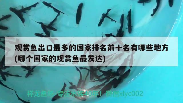 埃及神仙魚繁殖不提罐可以嗎，埃及神仙魚繁殖缸多大尺寸好