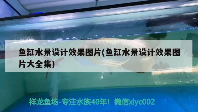 5天了可以放魚嗎