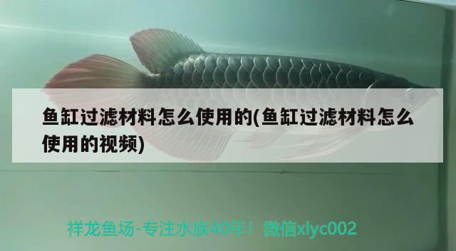 魚缸過濾材料怎么使用的(魚缸過濾材料怎么使用的視頻)