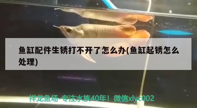 魚缸配件生銹打不開了怎么辦(魚缸起銹怎么處理)