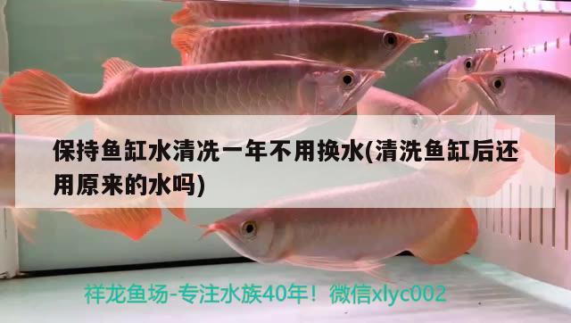 保持魚缸水清冼一年不用換水(清洗魚缸后還用原來的水嗎)