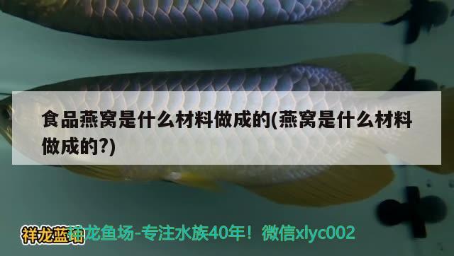 食品燕窩是什么材料做成的(燕窩是什么材料做成的?) 馬來西亞燕窩