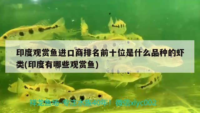 印度觀賞魚進口商排名前十位是什么品種的蝦類(印度有哪些觀賞魚) 觀賞魚進出口