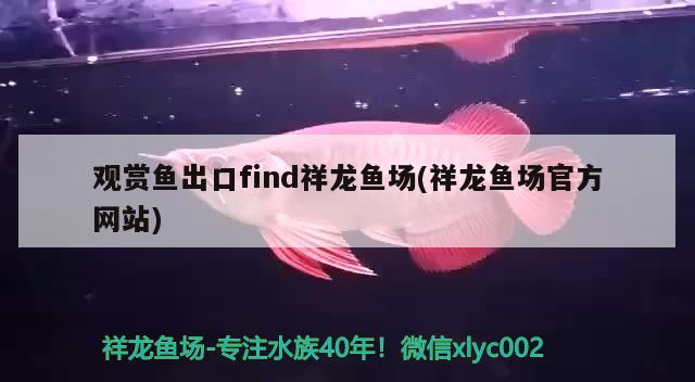 觀賞魚出口find祥龍魚場(祥龍魚場官方網(wǎng)站) 觀賞魚進出口