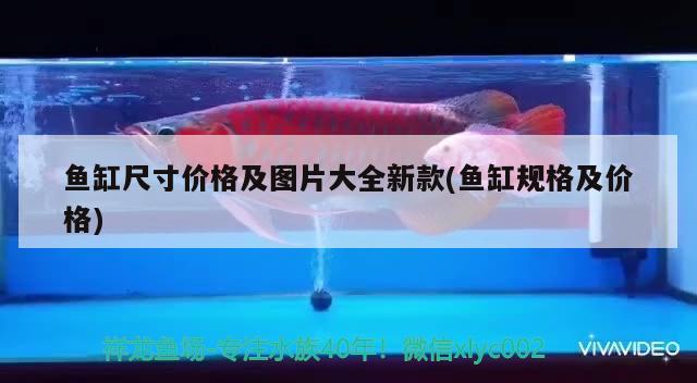 魚缸尺寸價格及圖片大全新款(魚缸規(guī)格及價格) 祥龍水族濾材/器材