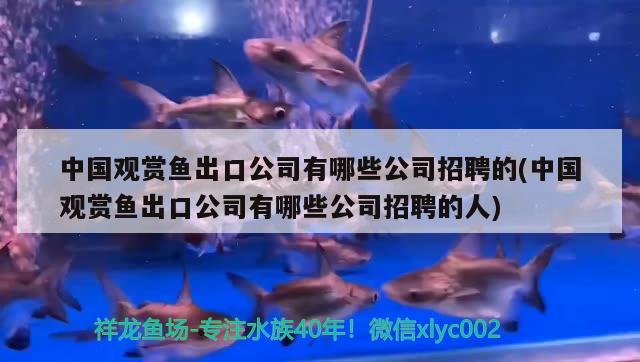 佛山金龍魚經(jīng)銷商電話查詢號碼是多少號，佛山金龍魚經(jīng)銷商電話查詢號碼是多少