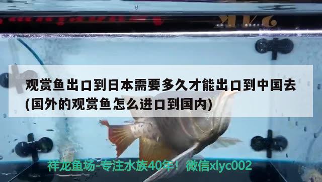 觀賞魚(yú)出口到日本需要多久才能出口到中國(guó)去(國(guó)外的觀賞魚(yú)怎么進(jìn)口到國(guó)內(nèi))