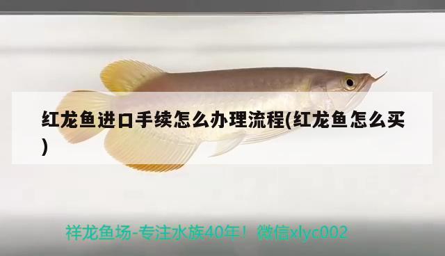 diy魚缸制作設(shè)計圖片大全：diy魚缸制作設(shè)計圖片大全簡單 養(yǎng)魚的好處 第2張