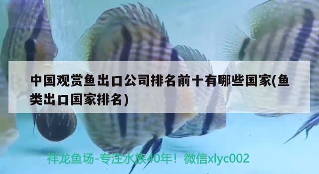 中國觀賞魚出口公司排名前十有哪些國家(魚類出口國家排名) 觀賞魚進(jìn)出口