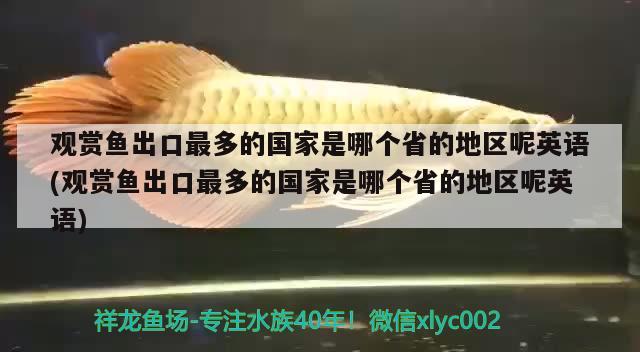 觀賞魚出口最多的國家是哪個省的地區(qū)呢英語(觀賞魚出口最多的國家是哪個省的地區(qū)呢英語) 觀賞魚進出口 第1張