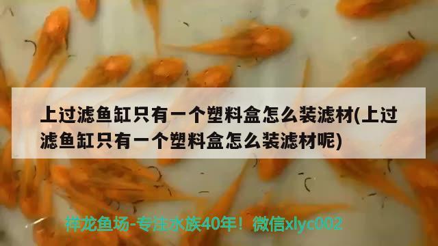 上過濾魚缸只有一個(gè)塑料盒怎么裝濾材(上過濾魚缸只有一個(gè)塑料盒怎么裝濾材呢)