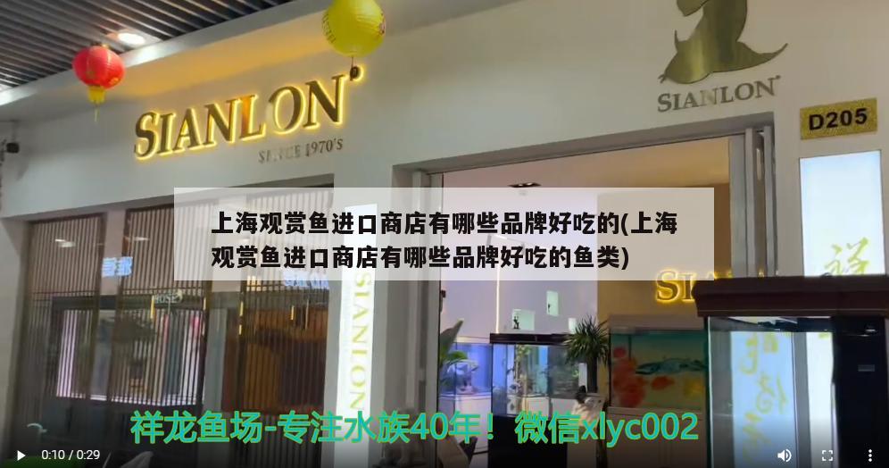 上海觀賞魚進(jìn)口商店有哪些品牌好吃的(上海觀賞魚進(jìn)口商店有哪些品牌好吃的魚類) 觀賞魚進(jìn)出口