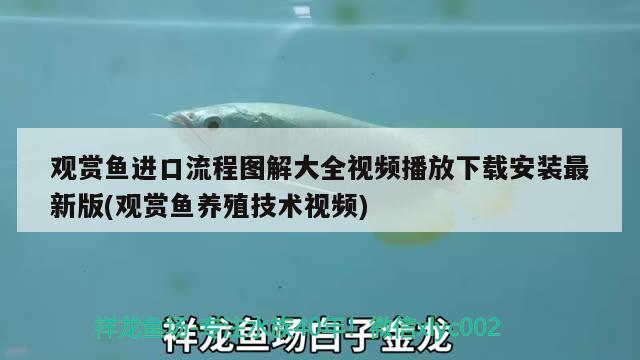 石家莊長(zhǎng)安墨緣觀賞魚店