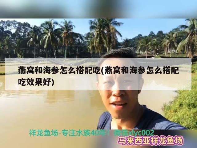 燕窩和海參怎么搭配吃(燕窩和海參怎么搭配吃效果好) 馬來(lái)西亞燕窩