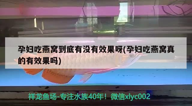 60的魚缸怎么造景 求詳細(xì)！ 。，60厘米原生缸造景過濾要怎么放 養(yǎng)魚的好處 第1張