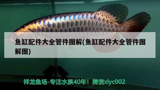 魚缸放醋有什么危害，魚缸里放霧化器,對魚有影響嗎