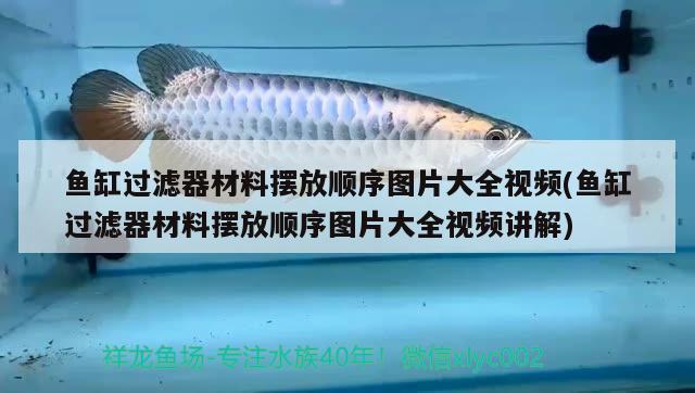 魚缸過濾器材料擺放順序圖片大全視頻(魚缸過濾器材料擺放順序圖片大全視頻講解)