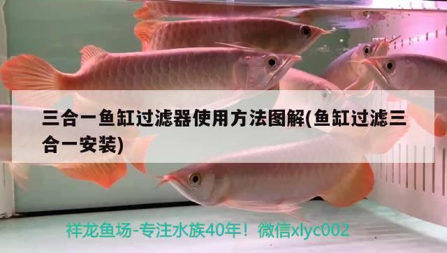 三合一魚缸過濾器使用方法圖解(魚缸過濾三合一安裝) 水溫計