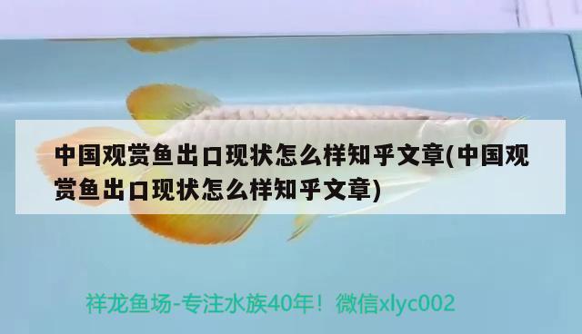 中國(guó)觀賞魚(yú)出口現(xiàn)狀怎么樣知乎文章(中國(guó)觀賞魚(yú)出口現(xiàn)狀怎么樣知乎文章) 觀賞魚(yú)進(jìn)出口