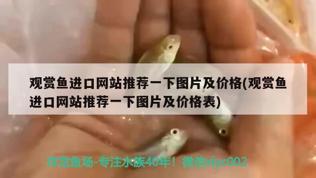 觀賞魚進(jìn)口網(wǎng)站推薦一下圖片及價(jià)格(觀賞魚進(jìn)口網(wǎng)站推薦一下圖片及價(jià)格表) 觀賞魚進(jìn)出口