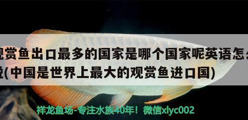 觀賞魚出口最多的國家是哪個(gè)國家呢英語怎么說(中國是世界上最大的觀賞魚進(jìn)口國) 觀賞魚進(jìn)出口