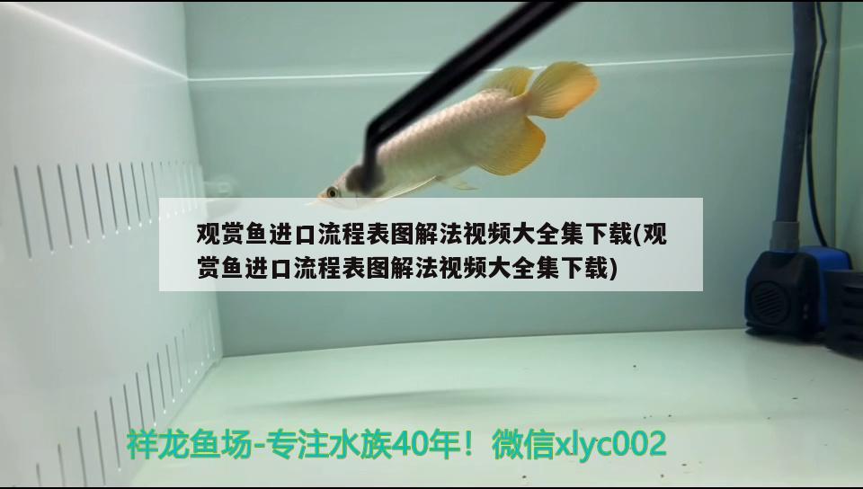 北京個人二手魚缸轉(zhuǎn)讓58同城信息電話（北京個人二手魚缸轉(zhuǎn)讓58同城信息電話號碼）