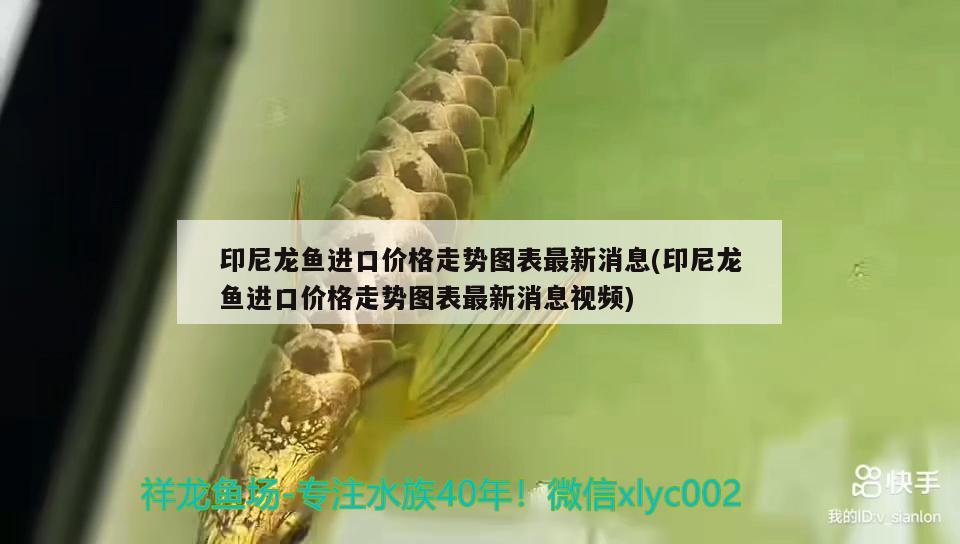 清理完魚缸如何養(yǎng)水藻（清理魚缸后養(yǎng)水多久可以放魚）