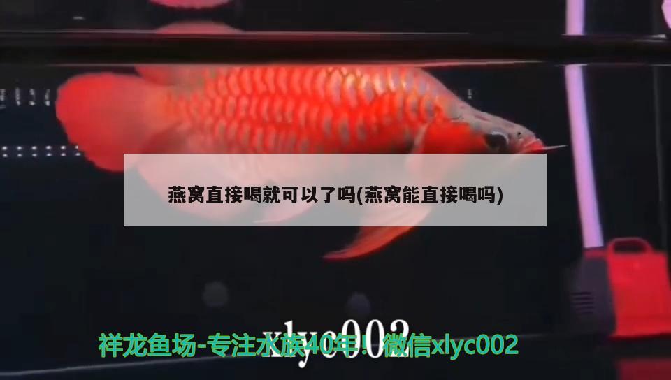 銀板魚和食人魚混養(yǎng)好嗎(銀板魚可以和虎魚混養(yǎng)嗎)