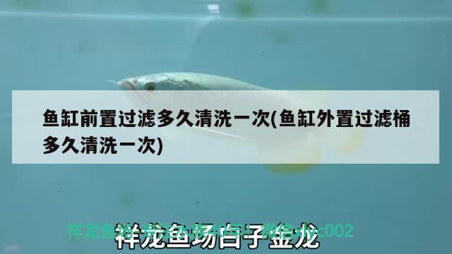 南陽(yáng)魚(yú)缸哪里有賣(mài)的啊圖片大全價(jià)格表南陽(yáng)魚(yú)缸哪里有賣(mài)的啊，南陽(yáng)魚(yú)缸哪里有賣(mài)的啊 朱巴利魚(yú)苗 第2張