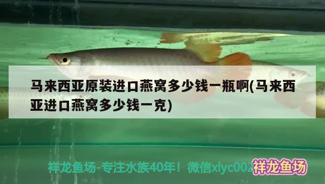 馬來西亞原裝進口燕窩多少錢一瓶啊(馬來西亞進口燕窩多少錢一克) 馬來西亞燕窩