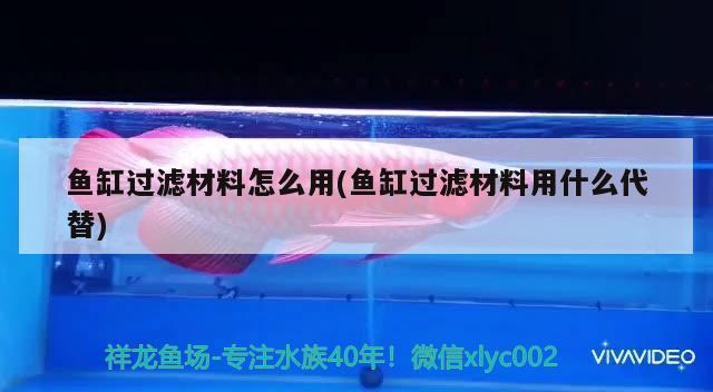 魚缸過濾材料怎么用(魚缸過濾材料用什么代替) 白子黃化銀龍魚