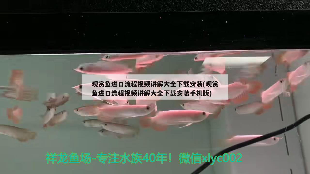 觀賞魚(yú)進(jìn)口流程視頻講解大全下載安裝(觀賞魚(yú)進(jìn)口流程視頻講解大全下載安裝手機(jī)版) 觀賞魚(yú)進(jìn)出口