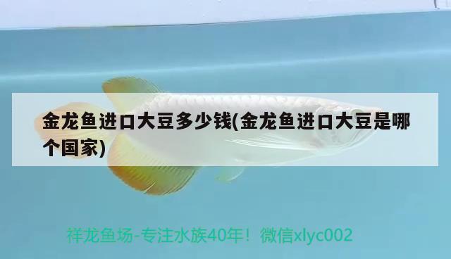 好燕窩和一般的燕窩的區(qū)別,還有營養(yǎng)價值(燕窩的營養(yǎng)價值可以和其他什么東西相比呢) 馬來西亞燕窩