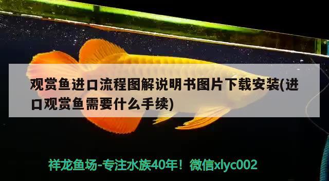 觀賞魚進口流程圖解說明書圖片下載安裝(進口觀賞魚需要什么手續(xù)) 觀賞魚進出口 第2張