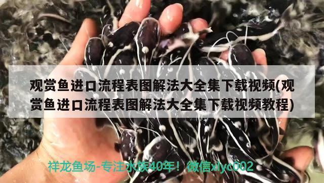 觀賞魚進口流程表圖解法大全集下載視頻(觀賞魚進口流程表圖解法大全集下載視頻教程)