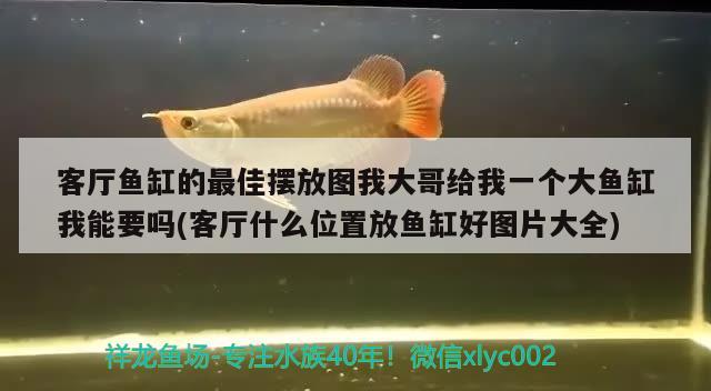 客廳魚缸的最佳擺放圖我大哥給我一個大魚缸我能要嗎(客廳什么位置放魚缸好圖片大全) 丹頂錦鯉魚 第2張