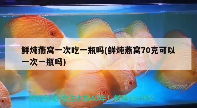 泰州觀賞魚市場不要只看丑一面