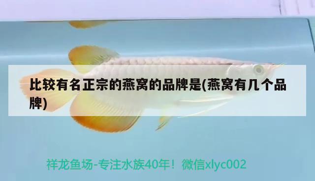 魚缸蓋怎么打開（怎么拆魚缸蓋）