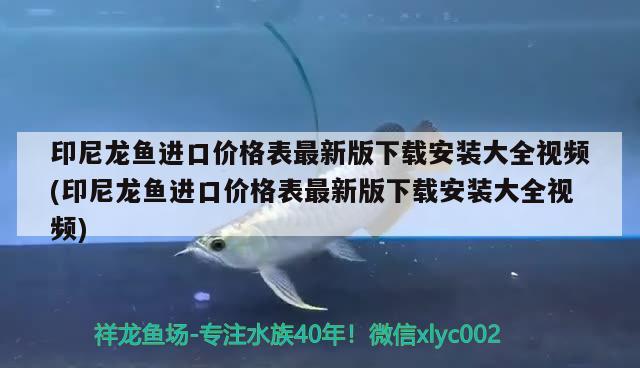 印尼龍魚進(jìn)口價格表最新版下載安裝大全視頻(印尼龍魚進(jìn)口價格表最新版下載安裝大全視頻) 觀賞魚進(jìn)出口