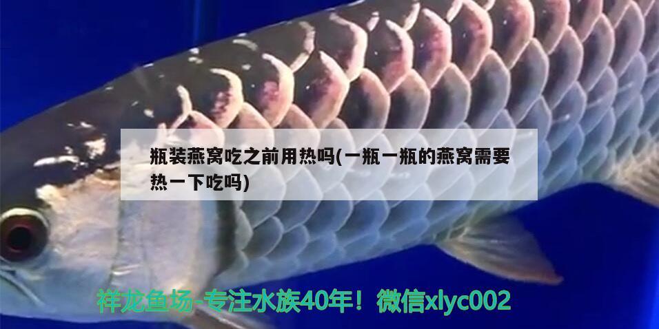 接吻魚(yú)會(huì)咬傷其它魚(yú)嗎：有一條錦鯉魚(yú)光追著另一條咬是怎么回事